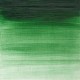 WINTON  TERRE VERTE